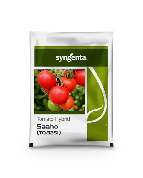 Syngenta Saaho TO 3251 Tomato Seeds packet