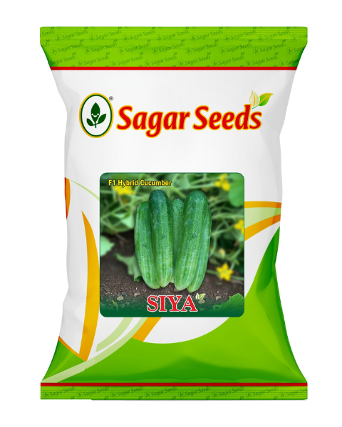 Sagar Siya F1 Cucumber Seed packet.