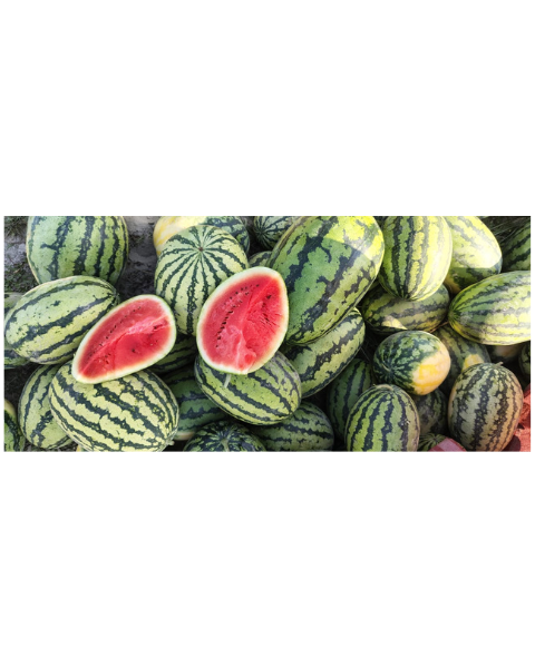 Sagar Supremo F1 Watermelon Seeds (Small Seeds)