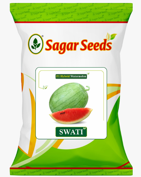 Sagar Swati Watermelon Seeds-Short, Oblong, Green, Striped, Sweet, Juicy