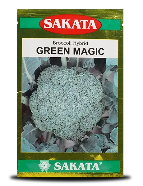 SAKATA GREEN MAGIC HYBRID BROCCOLI SEEDS, UNIFORM BROCCOLI CURD