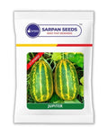 Sarpan Jupiter Sambar Hybrid Cucumber Seed packet.