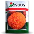 SEMI TALL ORANGE MARIGOLD (10000 Seeds)