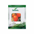 Seminis tomato seeds pack labeled “Tomato ARYAMAN,” featuring red oval tomatoes image on green-white packaging.