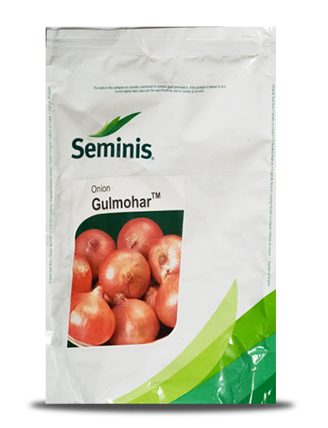 Seminis Gulmohar onion seeds pouch featuring a prominent photo of fresh red onions on the front label.
