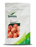 Seminis Gulmohar onion seeds pouch featuring a prominent photo of fresh red onions on the front label.