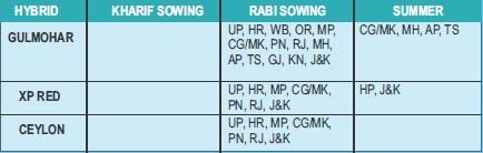 Sowing schedule chart for hybrid onion varieties like Gulmohar, XP Red, and Ceylon across different Indian states.