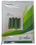 Seminis Jamini Hybrid Cucumber- Dark Green, 18-22cm, Early Harvest