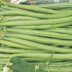 Image of fresh Moraleda beans