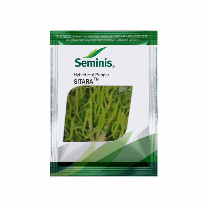 Seminis Sitara hybrid hot pepper seed packet featuring a green crop window and brand logo on a white pouch.