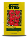 SIKANDER GOLD TOMATO SEEDS