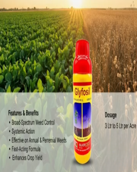 SILVER CROP GLYFOSIL (YELLOW) - 41 | HERBICIDE