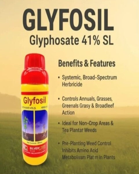 SILVER CROP GLYFOSIL (YELLOW) - 41 | HERBICIDE