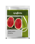 Syngenta Simbha Watermelon Seeds- Sweet, Red Flesh, Oval Fruit, Durable Rind