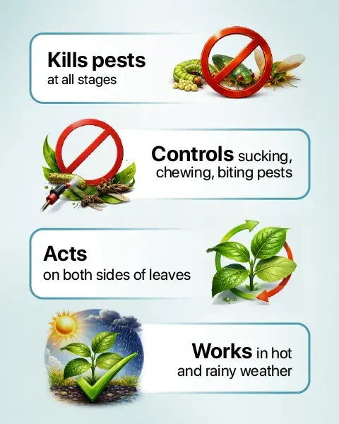 Rogor Insecticide controls all pests stages and works in hot and rainy weather