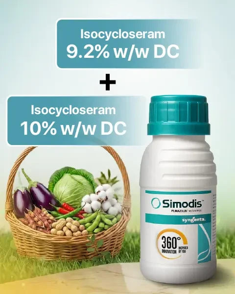 Technical content of Simodis Insecticide is Isocycloseram 92% w/w DC + Isocycloseram 10% w/v DC