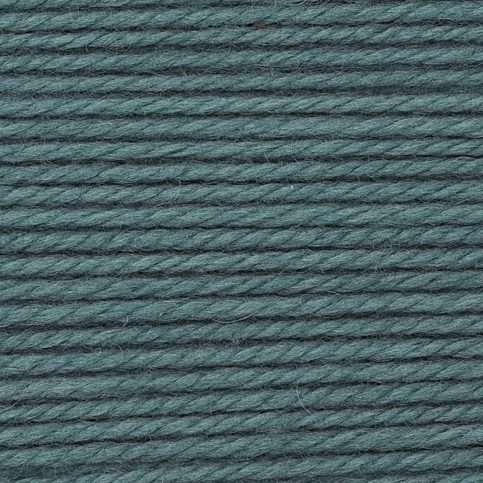 025 - Petrol