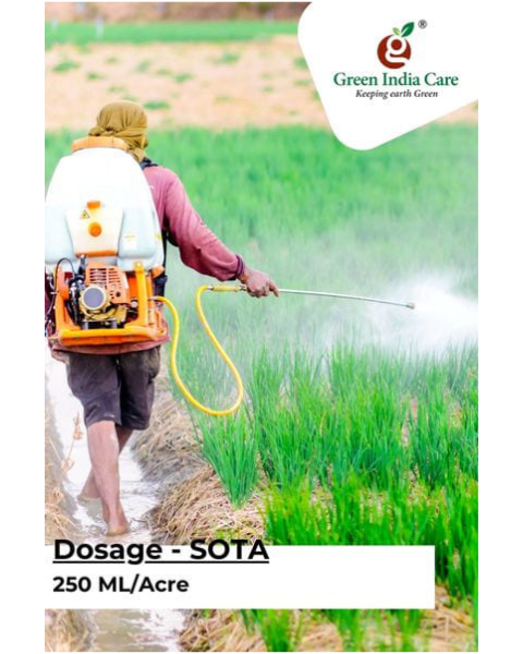 SOTA Insecticides