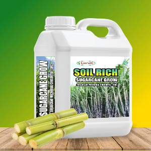 SUGARCANE MICROBIAL CONSORTIA (SMC), BIO FERTILIZER, SUGARCANE SPECIAL TO INCREASE GROWTH AND DEVELOPMENT