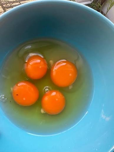 Sunny Harvest Pasture Raised Amish Eggs