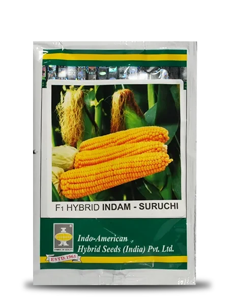 SURUCHI SWEET CORN