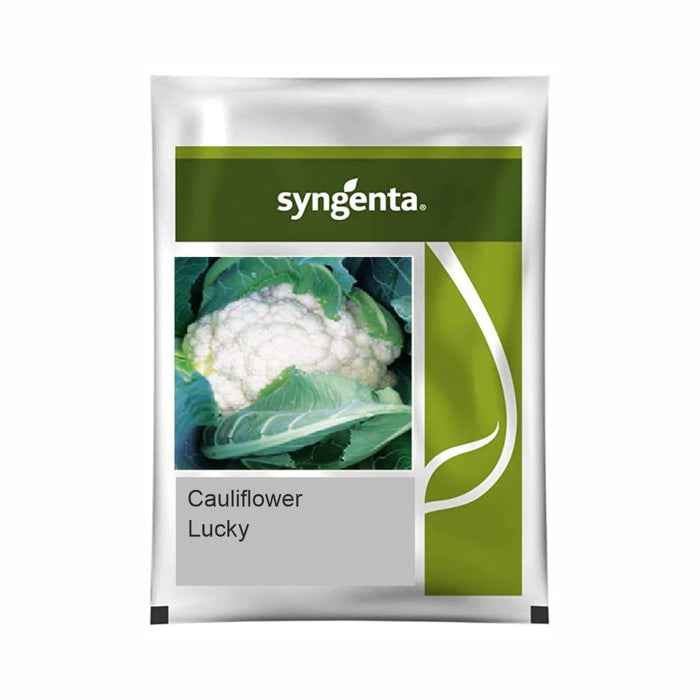 Syngenta Cauliflower Lucky seed packet featuring an image of a fresh cauliflower head surrounded by green leaves.