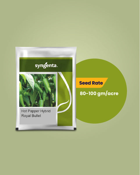 Image showing seed rate of syngenta royal bullet chilli seeds for 1 acre land