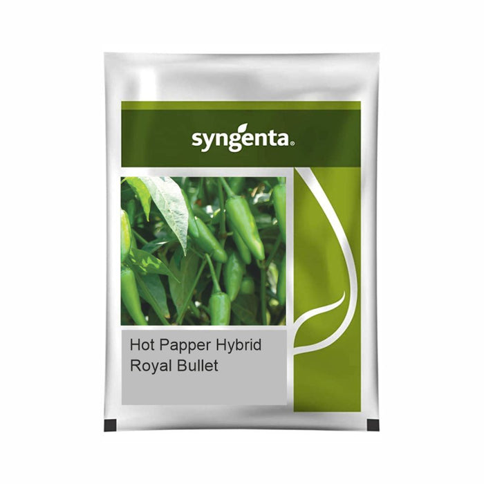Syngenta royal bullet chilli seeds packet