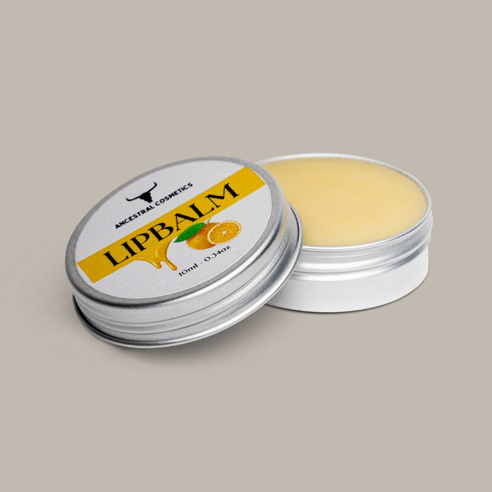 Tallow & Honey Lipbalm (Combo Pack)