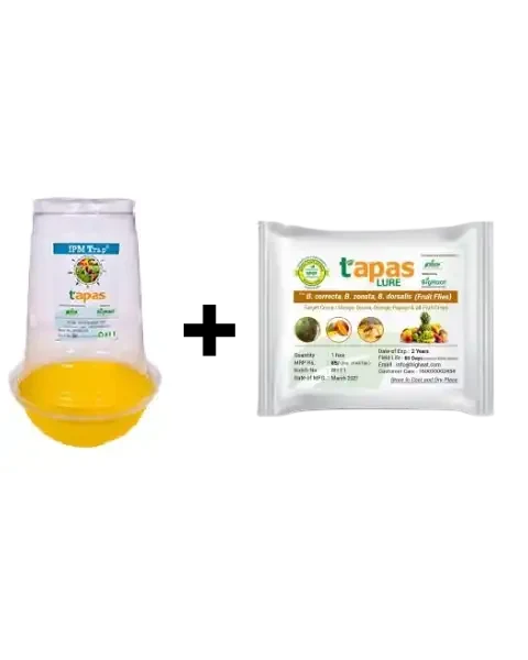 Green Revolutions Tapas Fruit Fly Trap and Lure- Ipm Combo.