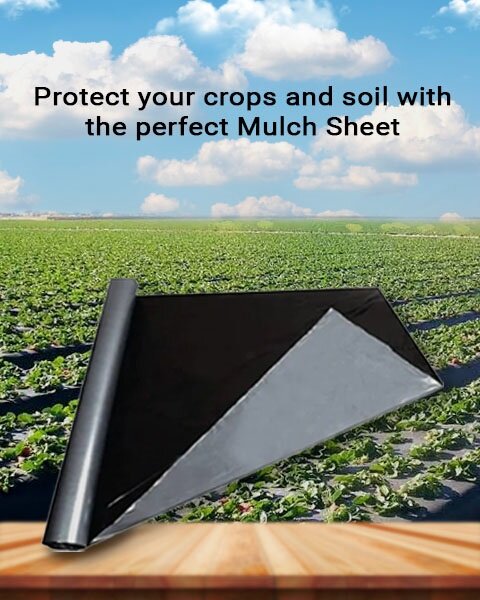 A roll of dual-color black and silver mulch sheet on display, with a green crop field and blue sky in the background.