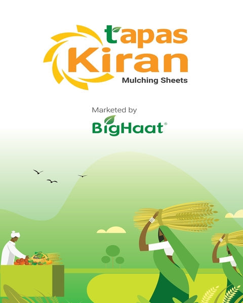 Tapas Kiran Mulching Sheets logo marketed by BigHaat, over an illustration of farmers harvesting crops in a field.