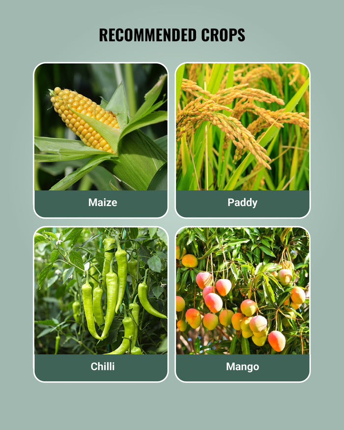 Image showing recommended crops details which Tata Ralligold GR Biofertilizer works