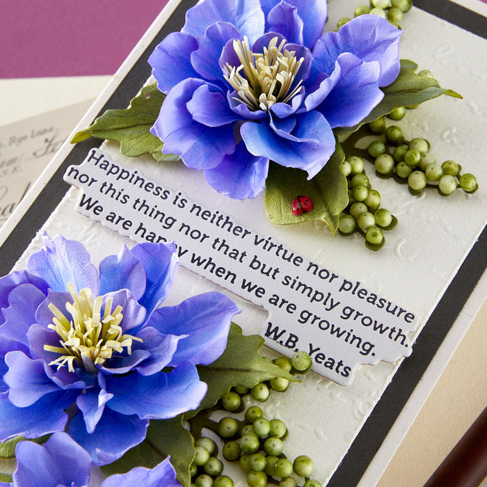 The Poet's Garden Sentiments Press + Foil Plate & Die Set by Susan Tierney-Cockburn