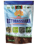 UMS ECTOBASSIANA