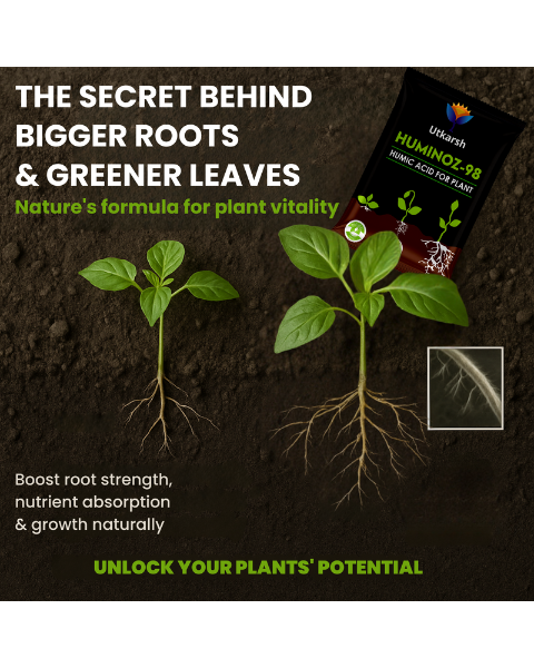 UTKARSH HUMINOZ-98 HUMIC ACID (98%)