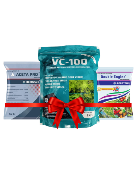 VC-100 Aceta Combo Pack for 200 liter spray, Includes VC-100(1 KG) + Aceta Pro (200 gm) + Double Engine (200 gm) Best Control on Virus in Chilli, Tomato, Papaya, Brinjal, Bitter Gourd, Green Gram, Capsicum, Okra,Tobacco etc