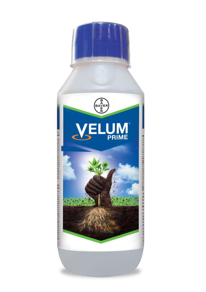 Bayer Velum Prime Nematicide bottle, 34.48% Fluopyram SC for crop protection from nematodes