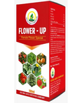 VENUS FLOWER UP