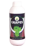 VENUS GRAPES SONAKA