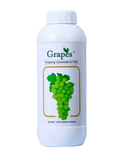 VENUS GRAPES
