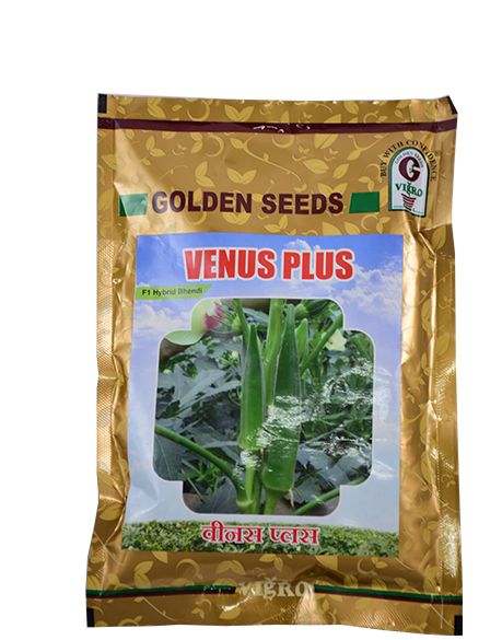 VENUS PLUS BHENDI (OKRA) ( वीनस प्लस भिंडी )
