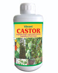 VIBRANT CASTOR