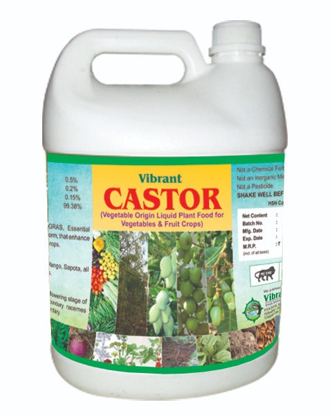 VIBRANT CASTOR