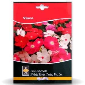 VINCA