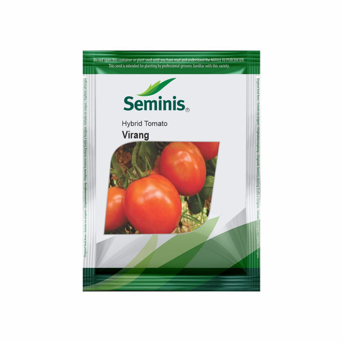 Namdhari NS 404 F1 Hybrid Cucumber Seeds Packet
