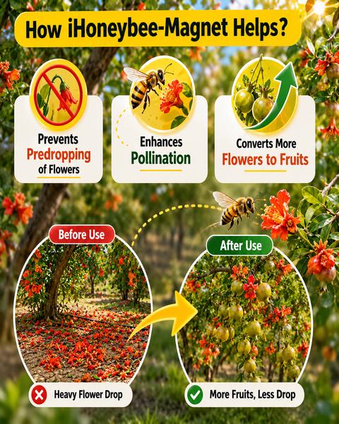 VM Cropcare I honey-Bee Magnet