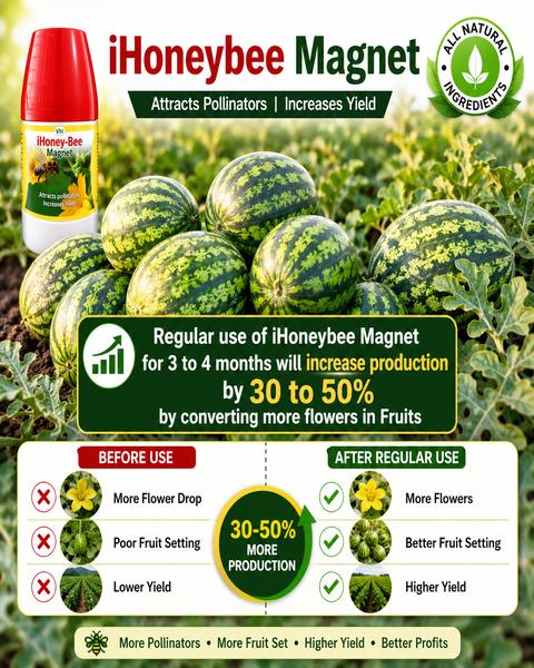 VM Cropcare I honey-Bee Magnet