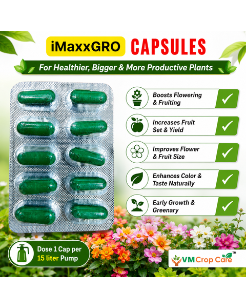 VM Cropcare Imaxx-Gro Growth Promoter