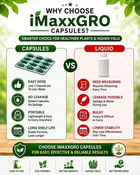 VM Cropcare Imaxx-Gro Growth Promoter
